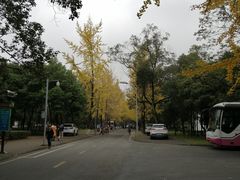 -四川大学(望江校区)