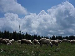 -塞罕坝国家级自然保护区