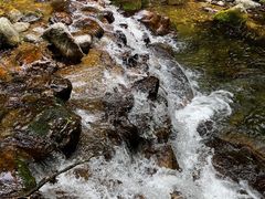 -牛背梁国家森林公园