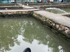 -双新垂钓园