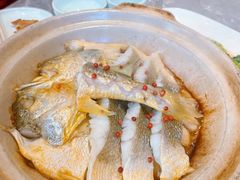 -1937青岛老味道·海肠捞饭·青岛菜(大鲍岛栈桥店)