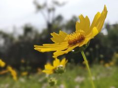 -菊园百果园