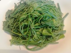 清炒南瓜苗-熙瓏里(万科店)