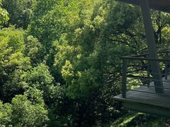 -西湖风景区-江洋畈生态公园