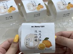 -宏发园动物奶油生日蛋糕(先锋路店)