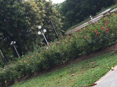 -人民公园(罗湖区)