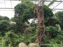 -南通洲际绿博园