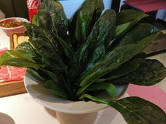 -九鼎轩脆毛肚火锅(三钢里店)