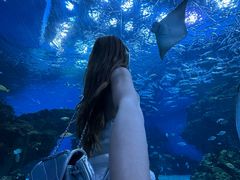 -海合安成都极地海洋公园
