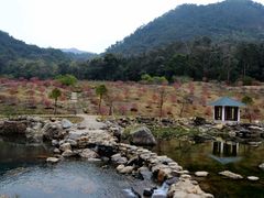 -广州市石门国家森林公园