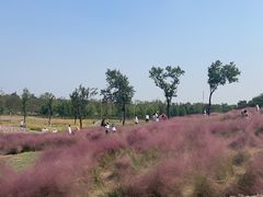 -上海滨江森林公园