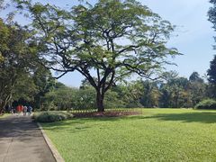 -中国科学院西双版纳热带植物园