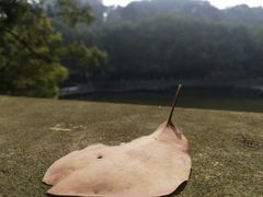 -豪客来牛排(鼓楼名店街店)