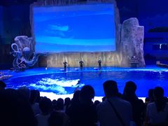 -华夏文旅海洋公园