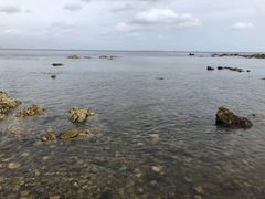 -养马岛旅游度假区