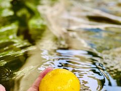 -国御温泉度假小镇