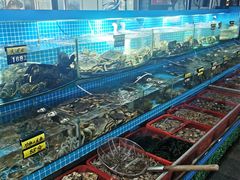 -望海潮海鲜店 特色家常菜(在海一方店)
