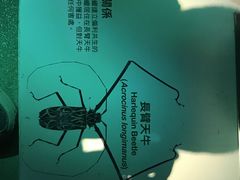 -香港科学馆