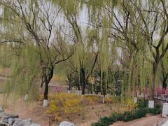 -大兴滨河森林公园