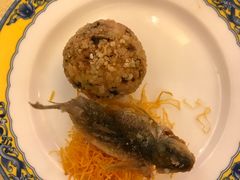 赤鳞鱼-御座宾馆-餐厅