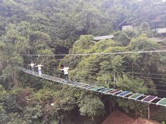 -海南槟榔谷黎苗文化旅游区