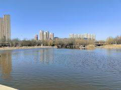 -前关湿地公园