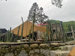 -MOJ coffee(瓯海泽雅水碓坑店)