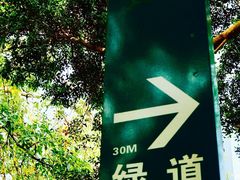 -东山湖公园
