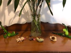 -瑜舍瑜伽连锁教室