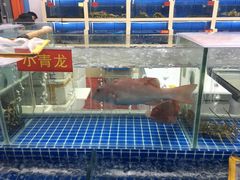 水产区-陇南批发市场