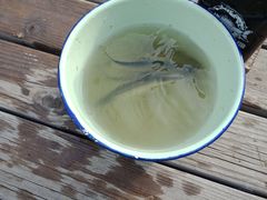 -酷鱼垂钓CLUB(朝阳区博大路店 )