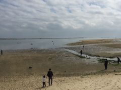 -北海金海湾红树林生态旅游区
