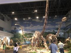 -自贡恐龙博物馆