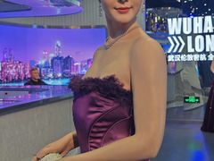 -武汉杜莎夫人蜡像馆