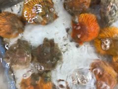 -海之鲜大排档(东山海鲜金銮湾店)