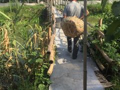 -马陆小张葡萄园农家乐