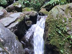 -藏龙百瀑风景区