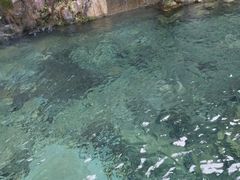 -庐山碧龙潭风景区