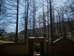 -九华山风景区
