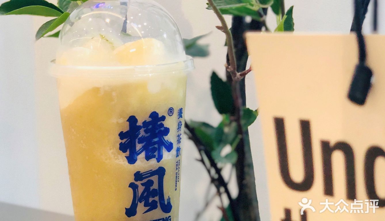 南京探店｜南京首家国风养生茶饮-椿风