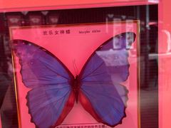 -蝴蝶泉公园