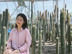 -南山植物园