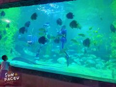 -南昌海洋公园