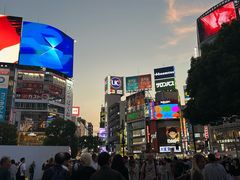 -涩谷区