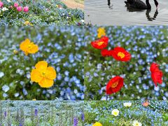 -上海辰山植物园
