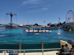 -秦皇岛乐岛海洋王国