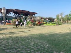 -上海长兴岛郊野公园