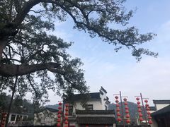 -新安江山水画廊风景区