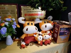 -炊烟小炒黄牛肉(东庆街店)
