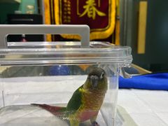 -雨林宠物医院 非犬猫异宠专科